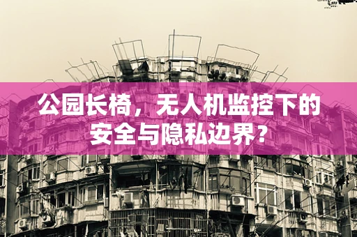 公园长椅，无人机监控下的安全与隐私边界？