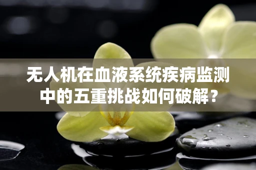 无人机在血液系统疾病监测中的五重挑战如何破解？