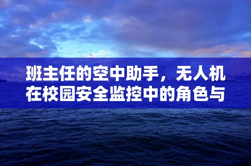 班主任的空中助手，无人机在校园安全监控中的角色与挑战