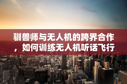 驯兽师与无人机的跨界合作，如何训练无人机听话飞行？