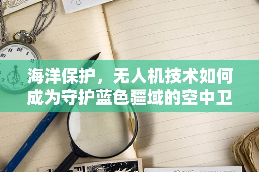 海洋保护，无人机技术如何成为守护蓝色疆域的空中卫士？