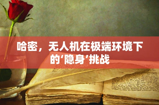 哈密，无人机在极端环境下的‘隐身’挑战
