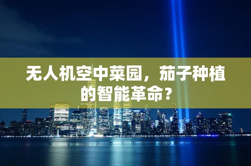 无人机空中菜园，茄子种植的智能革命？