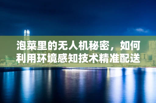 泡菜里的无人机秘密，如何利用环境感知技术精准配送？