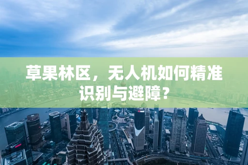 草果林区，无人机如何精准识别与避障？