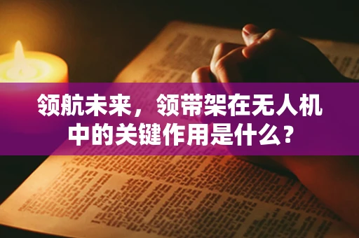 领航未来，领带架在无人机中的关键作用是什么？