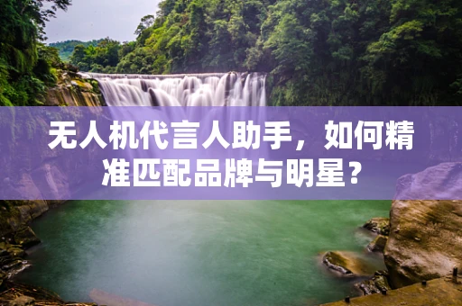 无人机代言人助手，如何精准匹配品牌与明星？
