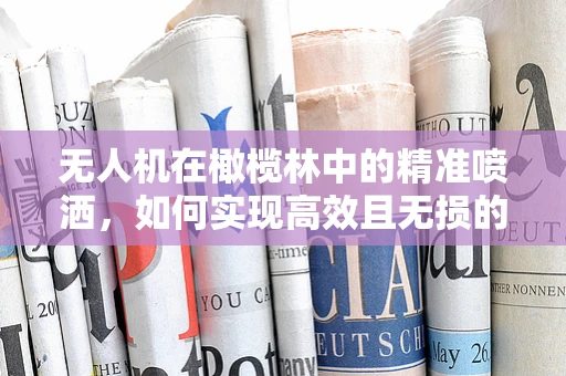 无人机在橄榄林中的精准喷洒，如何实现高效且无损的农药施用？