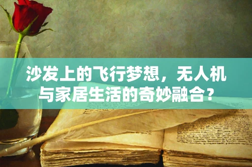 沙发上的飞行梦想，无人机与家居生活的奇妙融合？