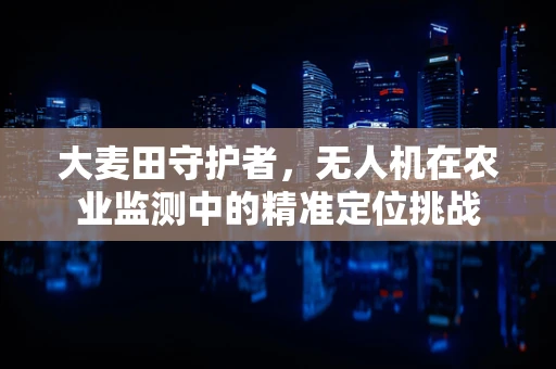 大麦田守护者，无人机在农业监测中的精准定位挑战