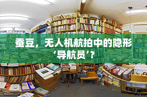 蚕豆，无人机航拍中的隐形‘导航员’？
