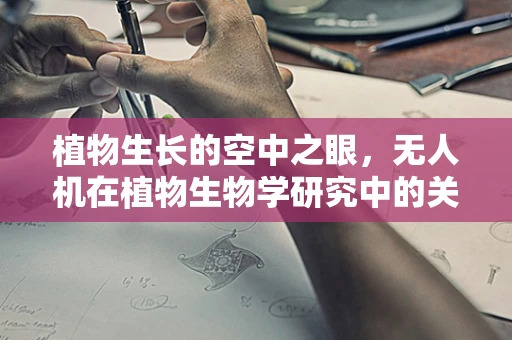 植物生长的空中之眼，无人机在植物生物学研究中的关键作用是什么？