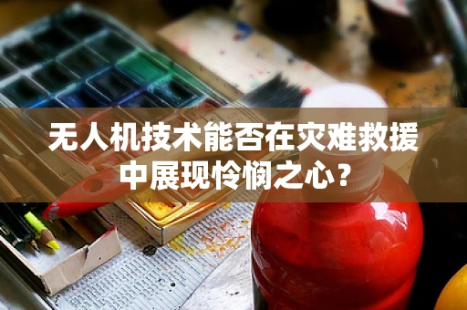 无人机技术能否在灾难救援中展现怜悯之心？