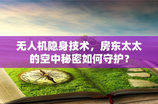 无人机隐身技术，房东太太的空中秘密如何守护？