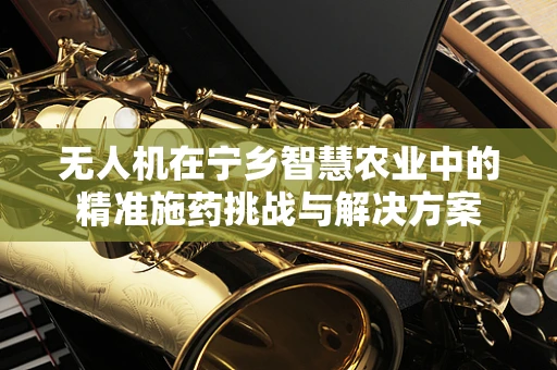 无人机在宁乡智慧农业中的精准施药挑战与解决方案