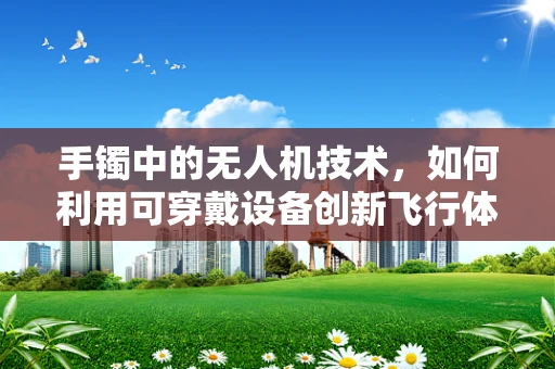 手镯中的无人机技术，如何利用可穿戴设备创新飞行体验？