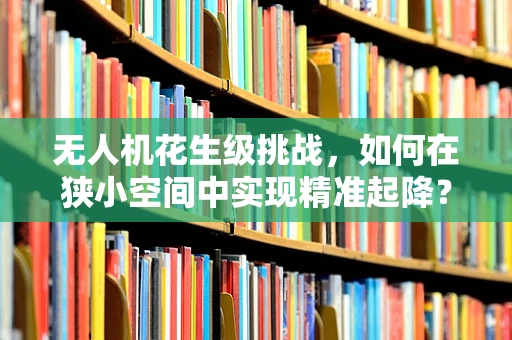 无人机花生级挑战，如何在狭小空间中实现精准起降？