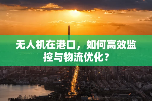 无人机在港口，如何高效监控与物流优化？