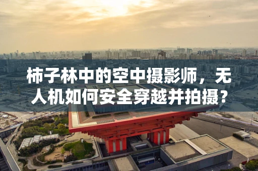 柿子林中的空中摄影师，无人机如何安全穿越并拍摄？