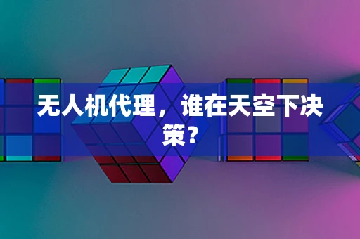 无人机代理，谁在天空下决策？