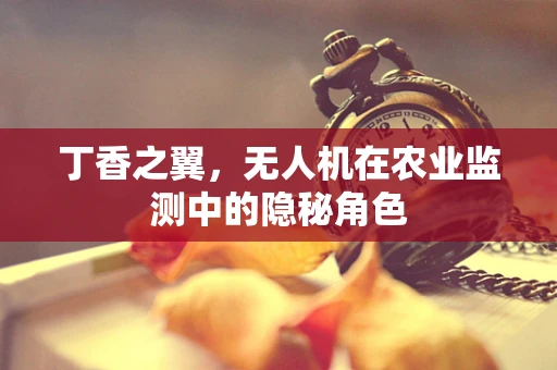 丁香之翼，无人机在农业监测中的隐秘角色