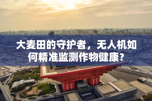 大麦田的守护者，无人机如何精准监测作物健康？
