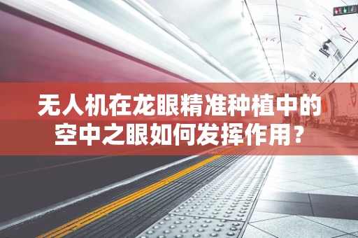 无人机在龙眼精准种植中的空中之眼如何发挥作用？