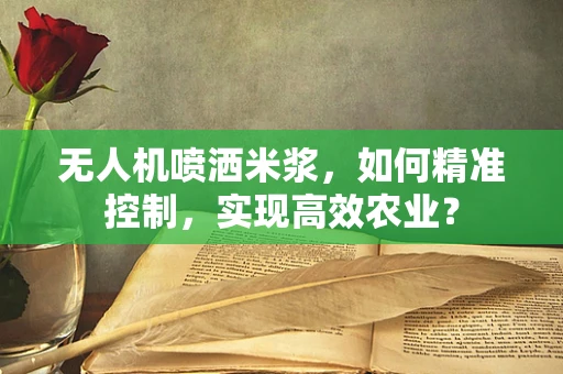 无人机喷洒米浆，如何精准控制，实现高效农业？