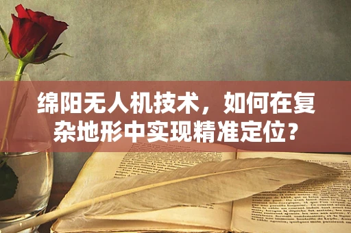 绵阳无人机技术，如何在复杂地形中实现精准定位？