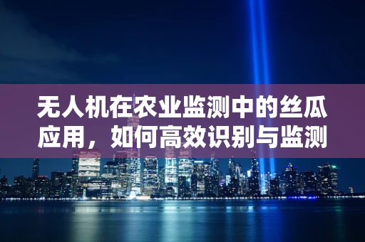 无人机在农业监测中的丝瓜应用，如何高效识别与监测？