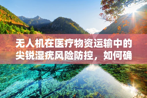 无人机在医疗物资运输中的尖锐湿疣风险防控，如何确保安全无虞？