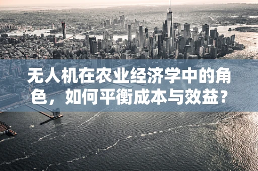 无人机在农业经济学中的角色，如何平衡成本与效益？