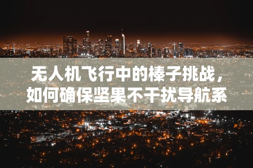 无人机飞行中的榛子挑战，如何确保坚果不干扰导航系统？