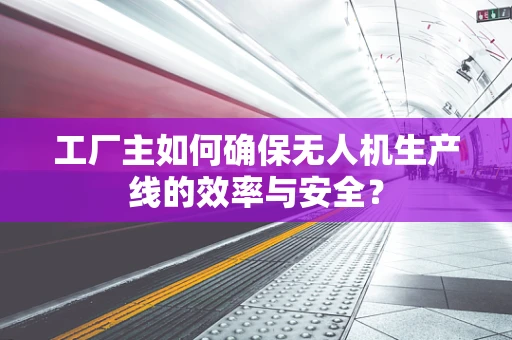 工厂主如何确保无人机生产线的效率与安全？