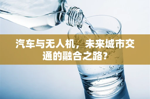 汽车与无人机，未来城市交通的融合之路？