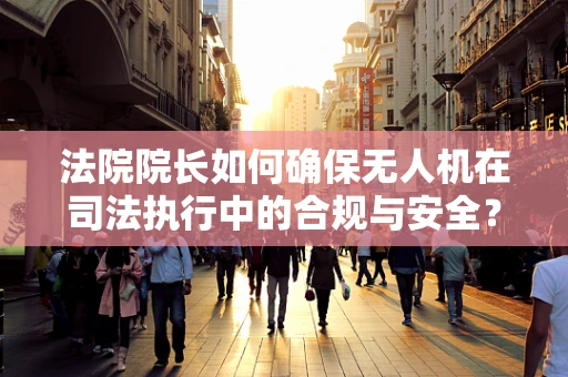 法院院长如何确保无人机在司法执行中的合规与安全？