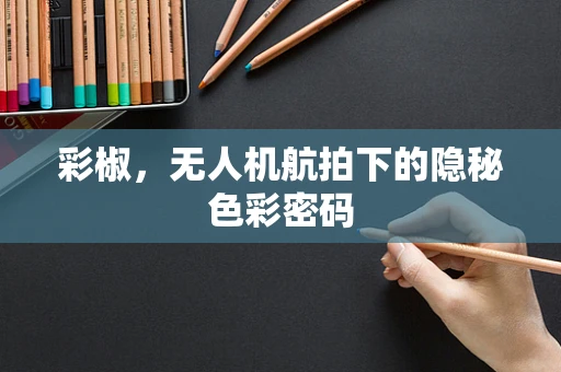 彩椒，无人机航拍下的隐秘色彩密码