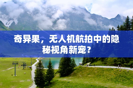 奇异果，无人机航拍中的隐秘视角新宠？
