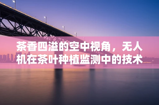 茶香四溢的空中视角，无人机在茶叶种植监测中的技术挑战与解决方案