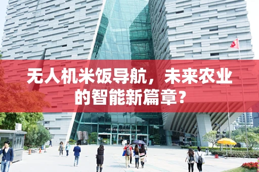 无人机米饭导航，未来农业的智能新篇章？