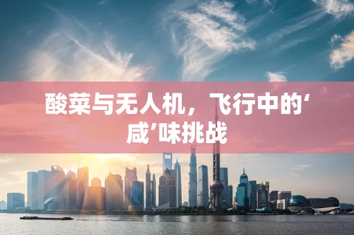 酸菜与无人机，飞行中的‘咸’味挑战