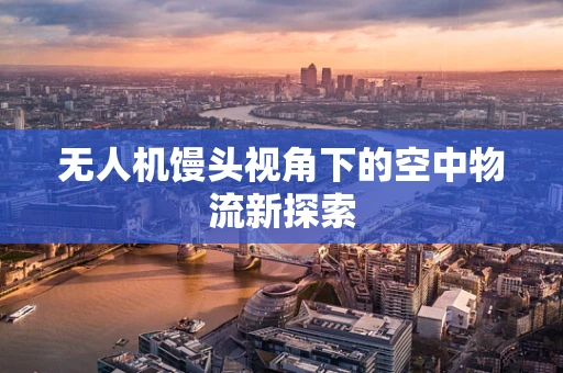 无人机馒头视角下的空中物流新探索