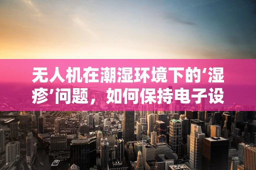 无人机在潮湿环境下的‘湿疹’问题，如何保持电子设备干燥？
