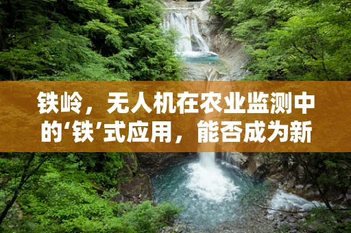 铁岭，无人机在农业监测中的‘铁’式应用，能否成为新常态？