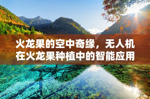 火龙果的空中奇缘，无人机在火龙果种植中的智能应用？