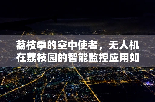荔枝季的空中使者，无人机在荔枝园的智能监控应用如何？