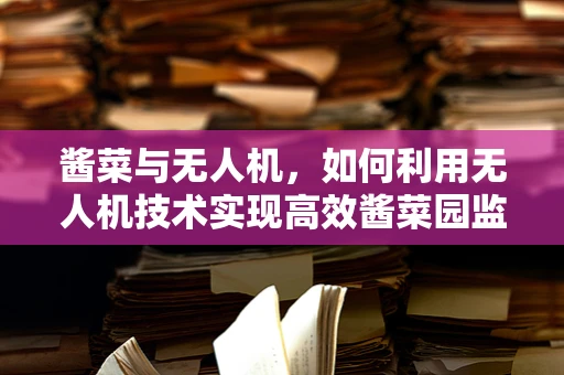 酱菜与无人机，如何利用无人机技术实现高效酱菜园监控？