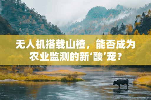 无人机搭载山楂，能否成为农业监测的新‘酸’宠？
