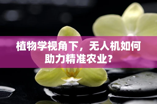 植物学视角下，无人机如何助力精准农业？