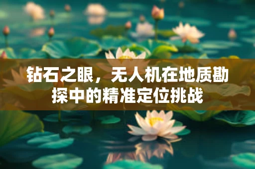 钻石之眼，无人机在地质勘探中的精准定位挑战